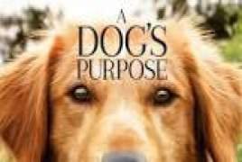 A Dogs Purpose 2017